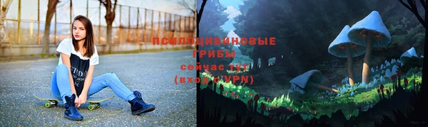 эйфоретик Медвежьегорск