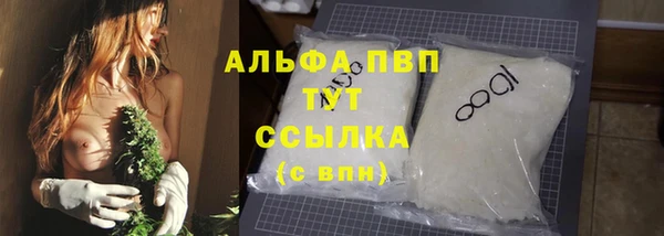 тгк Магас