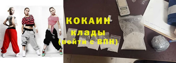 ПСИЛОЦИБИНОВЫЕ ГРИБЫ Михайлов