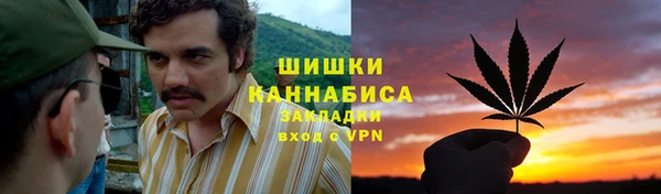 ПСИЛОЦИБИНОВЫЕ ГРИБЫ Михайлов