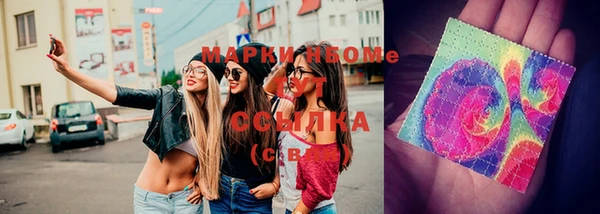 ПСИЛОЦИБИНОВЫЕ ГРИБЫ Михайлов