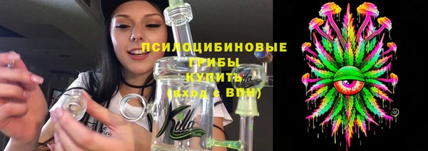 гашик Сосновоборск
